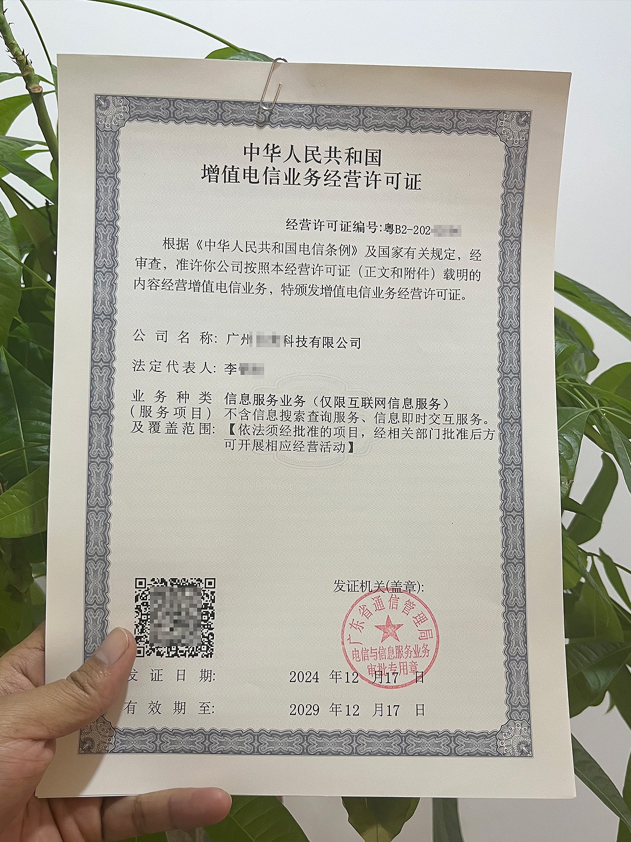 经营性ICP许可证怎么申请？和ICP备案到底有没有关系？（全国企业都能看懂的版本）